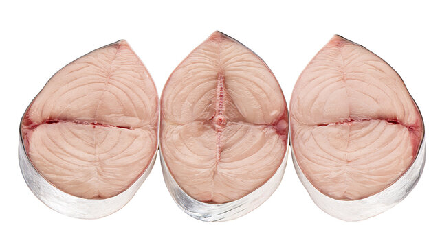 Three fresh raw king mackerel fish steaks with pink flesh and silver skin