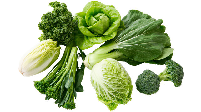 Fresh green leafy vegetables including kale lettuce bok choy and broccoli florets