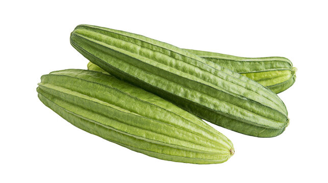 Fresh green ridged luffa gourds with textured skin