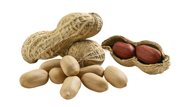 Whole raw peanuts in shells and peeled brown peanut kernels