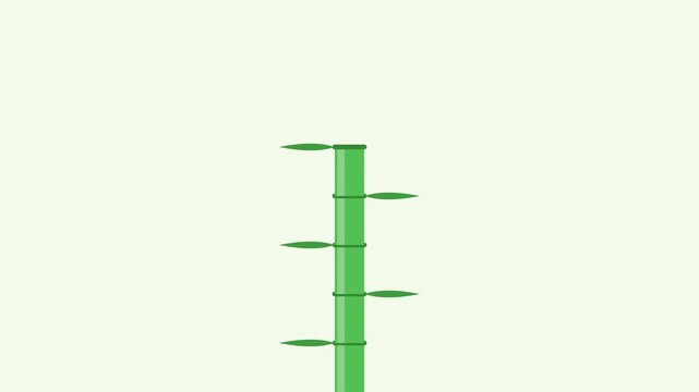 Bamboo Stalk Growth Animation for World Bamboo Day Celebration