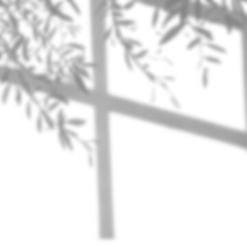cross shadow overlay window leaves branch frame sunlight dappled tree natural aesthetic mockup effect transparent isolated texture backdrop