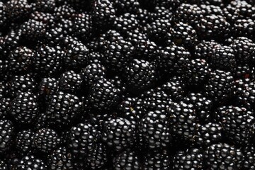 Heap of ripe tasty blackberries as background, closeup © New Africa