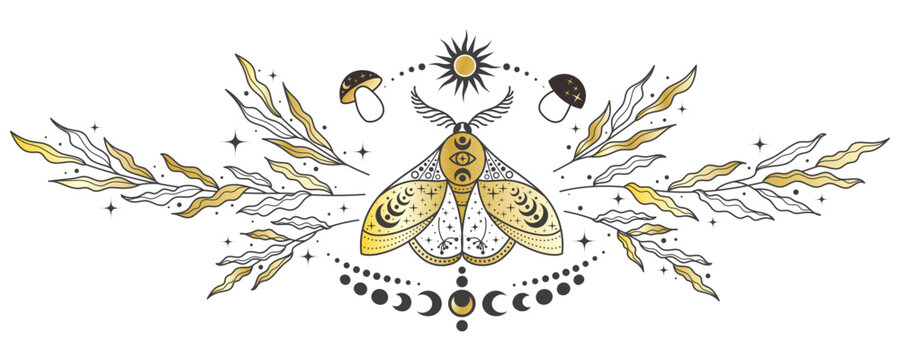 Mystic celestial moth with sun and moon symbols. Vintage outline butterfly vector with floral details for astrology, tattoo and esoteric golden designs.