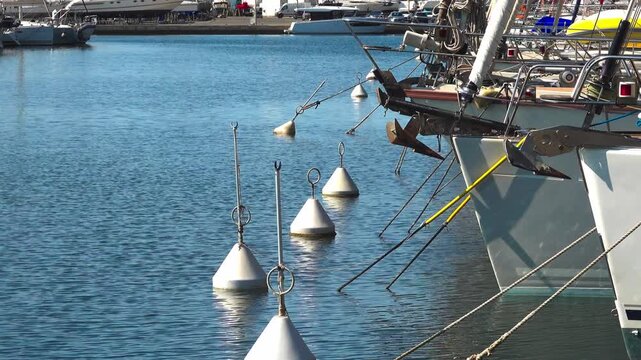 Boats dock at the marina by mooring buoys