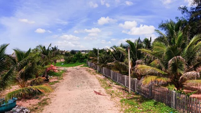 Walking paths in Hoa Thang, Lam Dong, with trees on both sides and blue skies above. It is a sunny day with a peaceful atmosphere and natural surroundings.