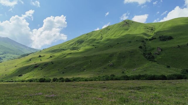 Scenic view of lush green hills and a wildflower meadow in the svaneti region of georgia, with shadows casting over the mountain slopes, perfect for tourism and outdoor adventure concepts