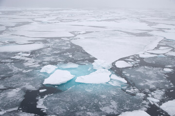 Sea ice in the Arctic © willtu