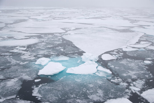 Sea ice in the Arctic