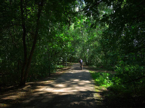 Cyclist riding through the green forest activity