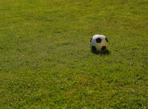 Football ball on the green lawn background