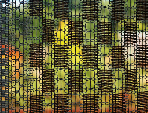 Perforated curtain abstract bokeh background
