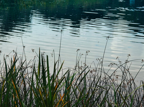 Dramatic backwater lake landscape background