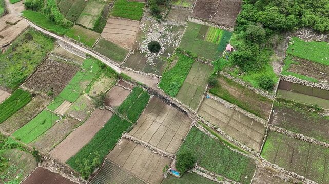 Drone ascends above patchwork hillside farms and narrow rural roads in Zunil, Quetzaltenango, Guatemala, revealing cultivated fields across the mountain landscape.
