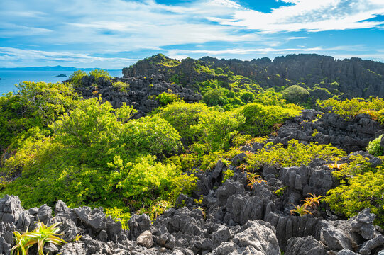 Tsingy Limestone Rock Formations and Forest in Nosy Hara National Park, Madagascar