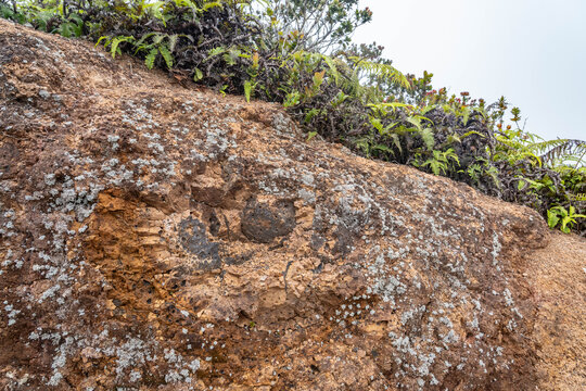 Waimea Canyon Basalt, Napali Member, Tholeiitic basalt. Weathered. Pu&rsquo;u O Kila Lookout. Kokeʻe State Park, Kauai County, Hawaii. Weathering. Cladonia skottsbergii is a species of lichen
