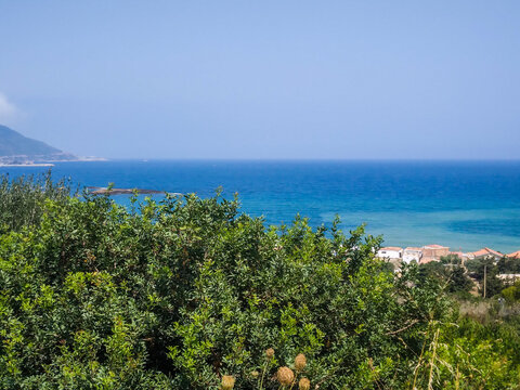 Mediterranean coastline featuring lush green foreground bushes overlooking a tranquil blue sea with distant rocky mountains under a clear bright summer sky during daytime hours
