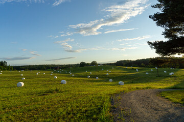 Fototapeta premium White hay bales dotting green rural field at sunset