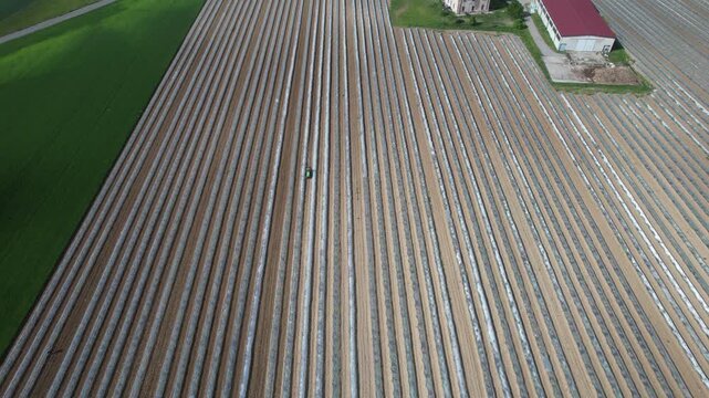 Long parallel rows of low plastic tunnels protect watermelon cultivation across a broad horticultural field, creating a dense linear pattern beside cultivated farmland and a rural agricultural buildin