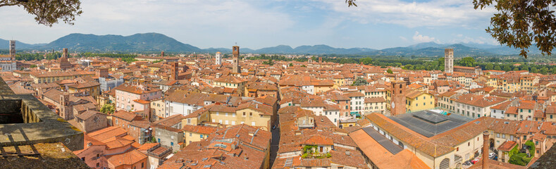 Fototapeta premium Lucca - The panorama - cityscape of the old town.