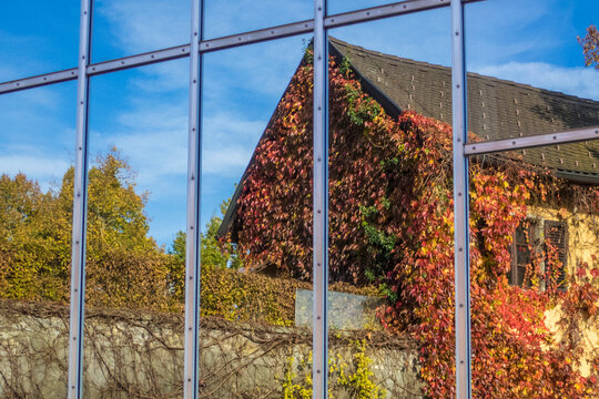 reflections in a glass window