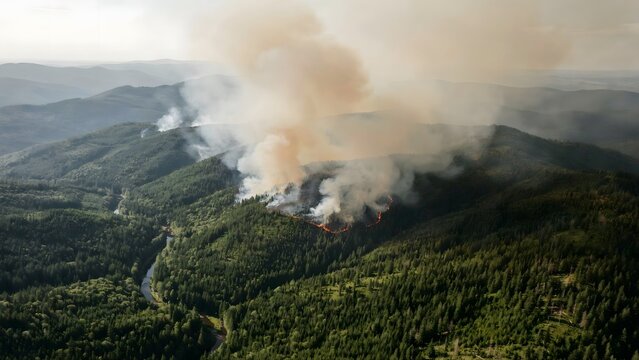 Drone shot of active fire line and smoke in canopy &ndash; Perfect for emergency response campaigns, climate crisis news, or wildfire tracking visual.