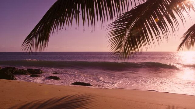 Framing palm frond and surf, ocean swell rising, waves breaking, receding on left rocks at sunrise