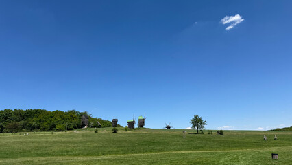 Park landscape, green lawn, photo of an eco-park, trees, gras © WatercolorDigitalArt