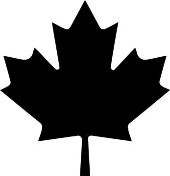 Black maple leaf icon shape isolated on transparent background