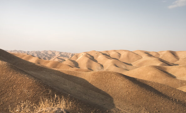 Hills are covered with old yellow grass at sunset. The rugged landscape of the rolling hills creates a shadow on the relief. Landscape of grassy hills at sunset