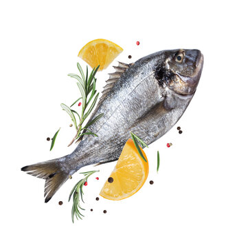 Fresh gilt-head sea bream (dorado) with lemon and rosemary isolated on white background