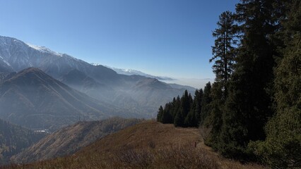 Breathtaking landscape of majestic misty mountains in Almaty with coniferous forest in the foreground © alya_lya_lya_lya