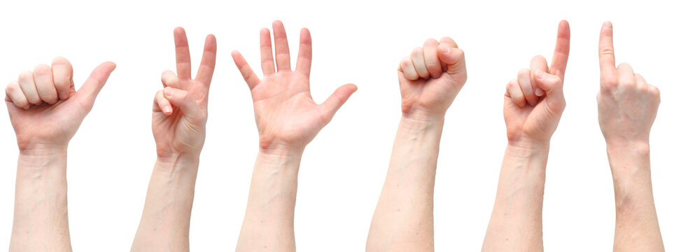 collage of human hands showing various gestures, collection of signs and signals, isolated on transparent background