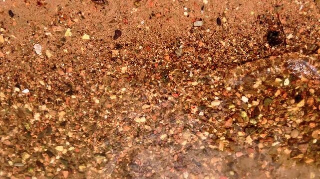 Shimmering river ripples distort red gravel beneath clear shallow water