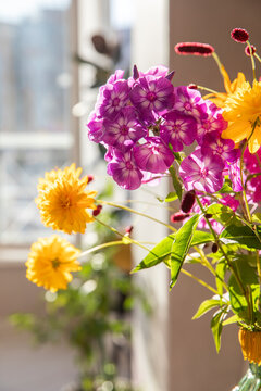 Bouquet with phlox and summer garden flowers