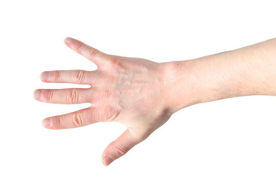 back of open human hand with splayed fingers, empty hand gesture, isolated on transparent background