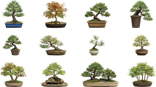Japanese Bonsai Tree Styles Vector Chart featuring Chokkan, Moyogi, Shakan, Kengai, Han-Kengai, Fukinagashi, Bunjingi, Hoki-dachi, Sokan, Ishitsuki, Yose-ue, and Ikadabuki