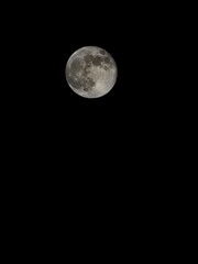full moon in the night sky © Michael