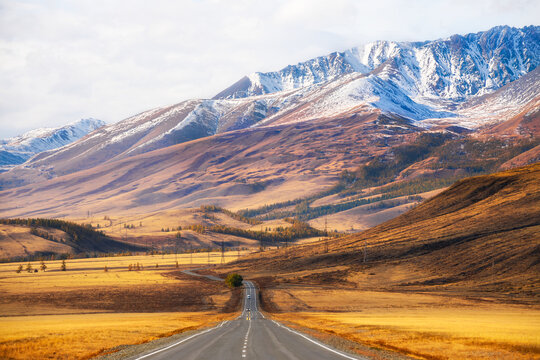 Yellow autumn trees and snow-covered mountains in Altai, Siberia, Russia. Chuysky tract road with a view of North-Chuya mountain ridge