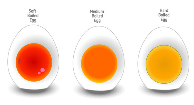 Boiled eggs, soft, medium, hard boiled. Poached healthy protein food. how minute, yellow orange red colors yolk. Illustration vector