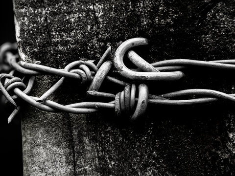 Barbed wire wrapping a weathered wooden fence post