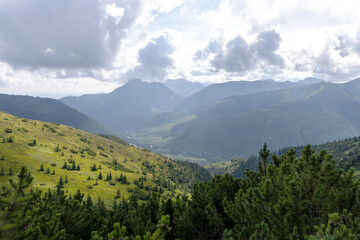 Obraz premium Panoramic Mountain Valley View Framed by Lush Green Pine Shrubs