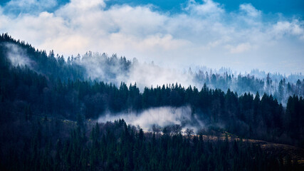 Naklejka premium Mist drifting above dark conifer forest in mountain landscape with layered trees and soft daylight. Suitable for nature, atmosphere, wilderness, and scenic travel concepts