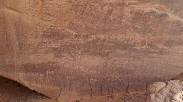 Prehistoric cattle engravings carved into a rock wall near Djanet, Algeria, in the Sahara Desert, preserving evidence of the region&rsquo;s ancient pastoral culture and a once greener landscape