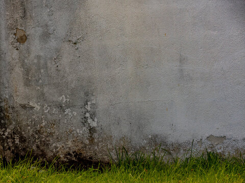 Feuchte und verschmutzte Hauswand