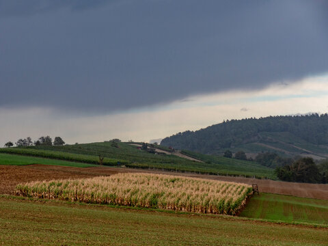 Agrarlandschaft im Sp&auml;tsommer
