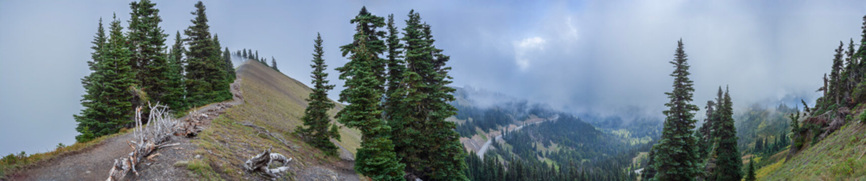 Beautiful wide panoramic view of a mountain pine forest hiking trail and valley with winding road under clouds