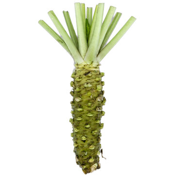 Natural Vegetable Studio Photography