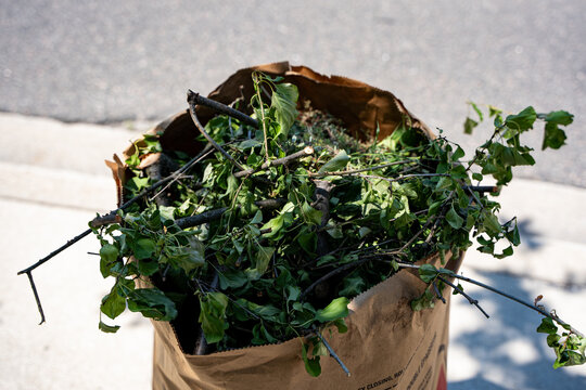 Paper bag filled with garden waste on sidewalk.