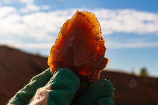 Translucent raw chalcedony chip held in a gloved hand backlit by the sun, showcasing vibrant natural colors and mineral texture during a rockhounding adventure in the open landscape